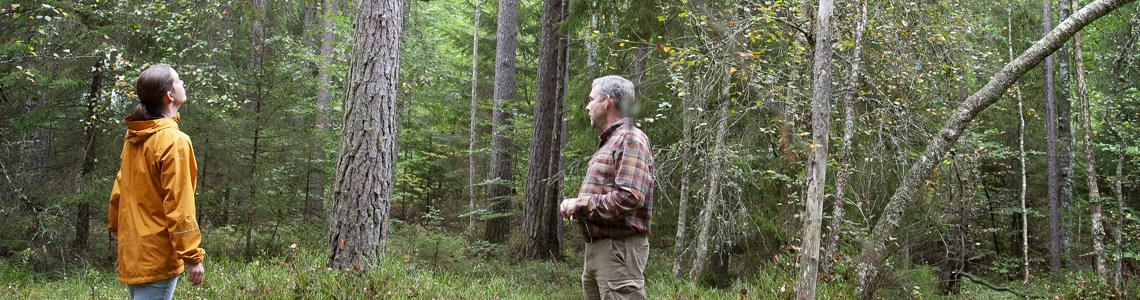 Man och kvinna i samtal i skogsmiljö